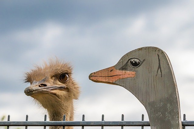 Doppelgänger means someone who looks like you, and it's one of the untranslatable german words.