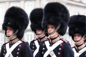 danish guard