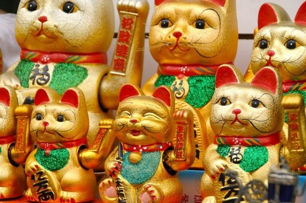 Chinese cats