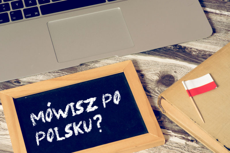 The Basics of Polish Grammar