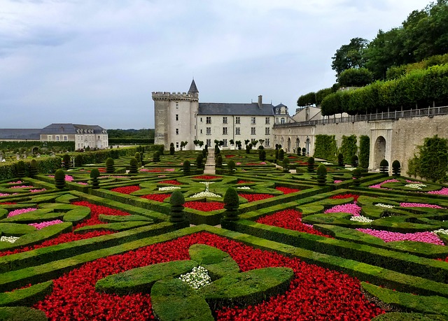 french language history and origins from latin