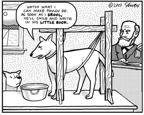 Skinner and the Theory of Behaviorism illustrated by a dog cartoon