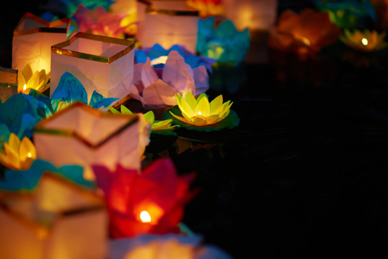 lotus flower lanterns