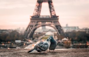 Learn romantic French phrases, sayings, and expressions to flirt and find love in France.