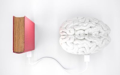How Your Brain Learns: A Guide for Language Learners