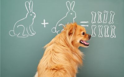 Game-Changing Language Learning Approaches for Students and Teachers
